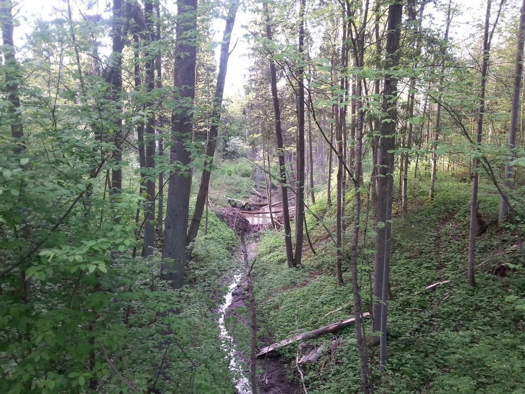 Wiejska Chata Szwalk Exterior foto
